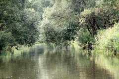 Killikus&reg; Fotographie